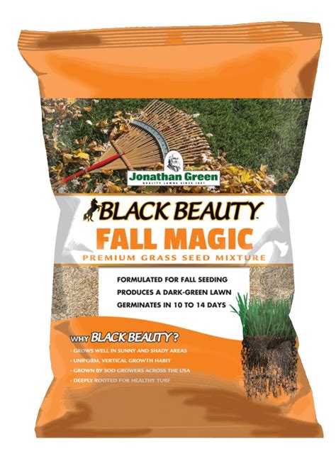 Enhance Your Curb Appeal with Black Beauty Fall Grass Seed